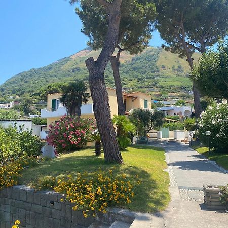 Residence Villa Olivia Forio di Ischia Buitenkant foto