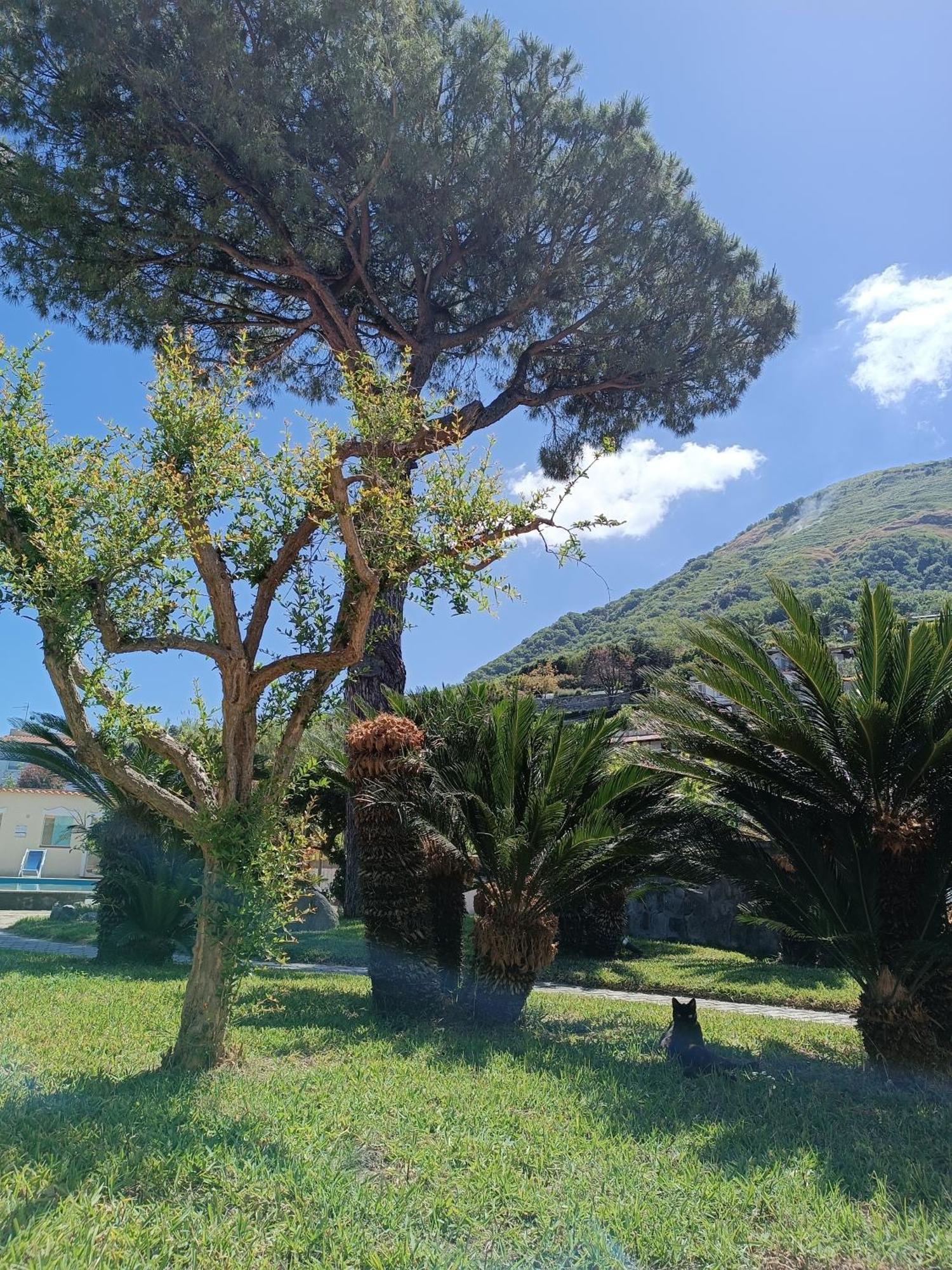 Residence Villa Olivia Forio di Ischia Buitenkant foto