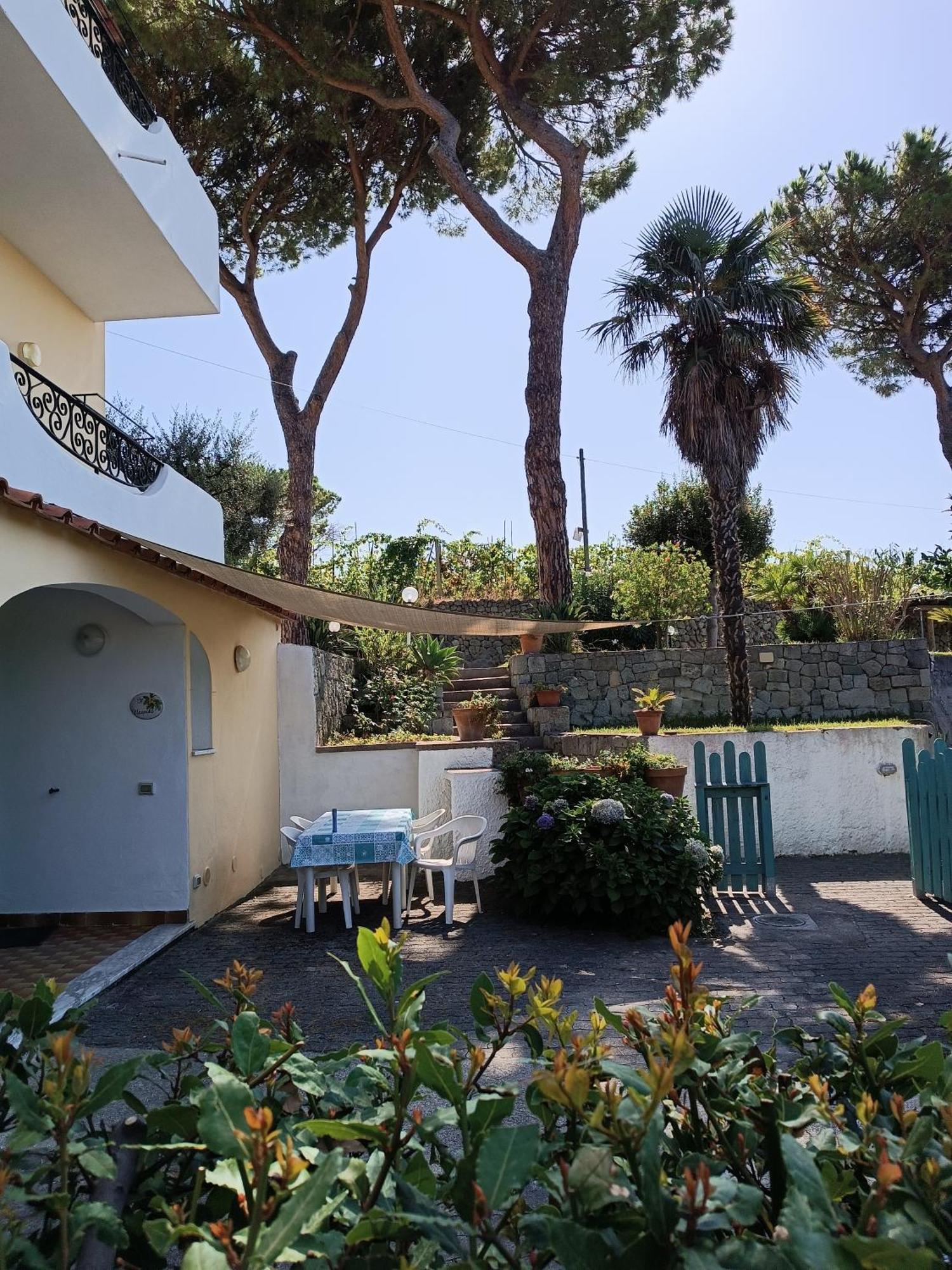 Residence Villa Olivia Forio di Ischia Buitenkant foto