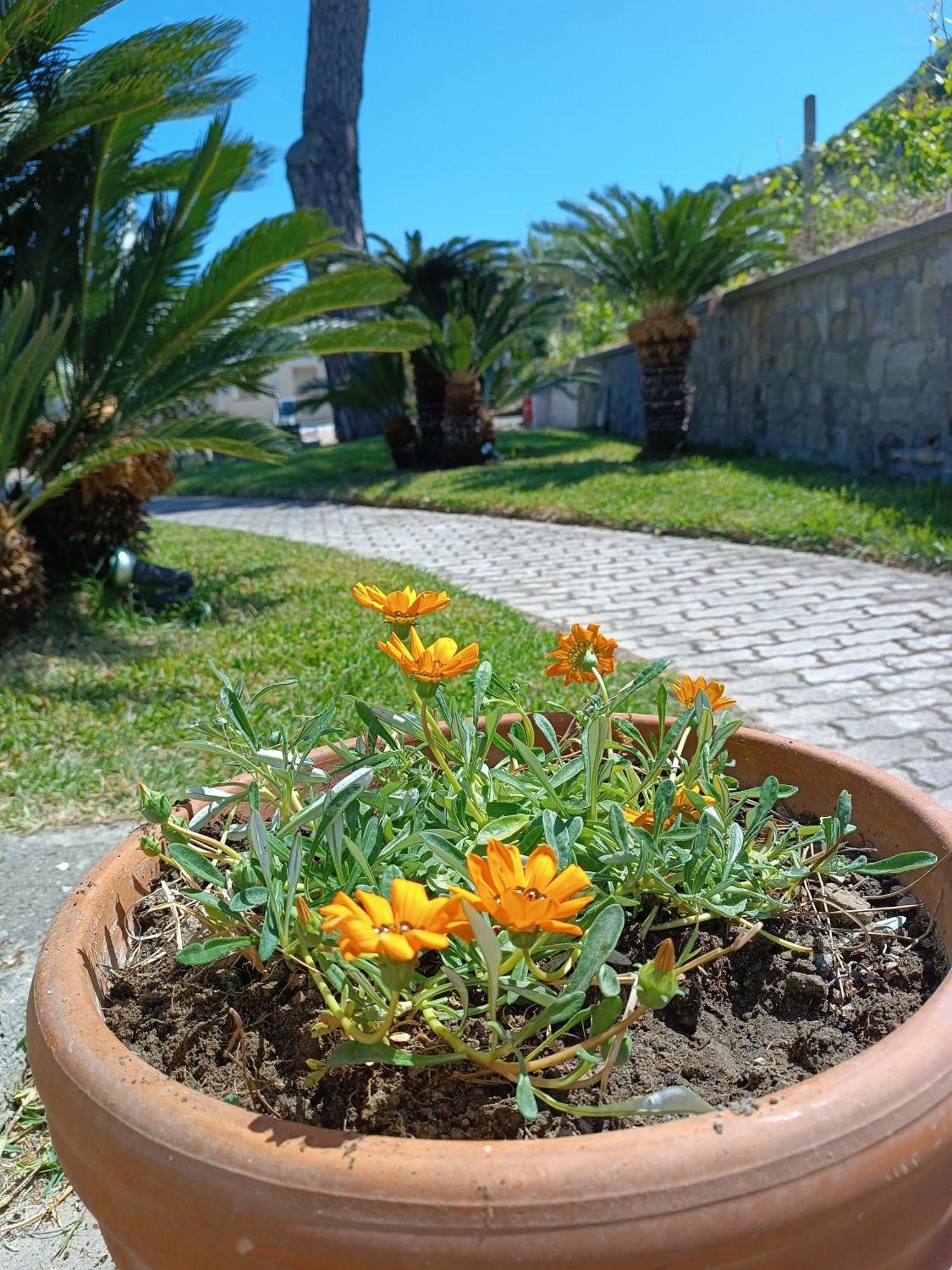 Residence Villa Olivia Forio di Ischia Buitenkant foto